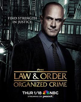 法律与秩序：组织犯罪 第四季封面图