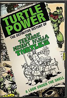 神龟力量：忍者神龟简明史封面图