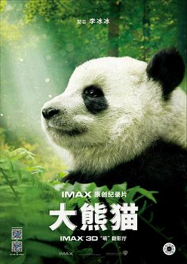 大熊猫封面图