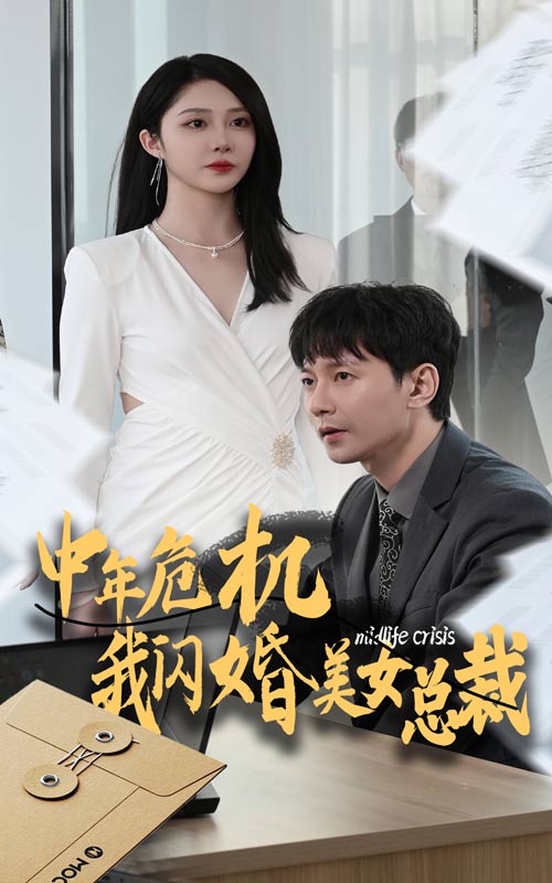 中年危机我闪婚美女总裁封面图