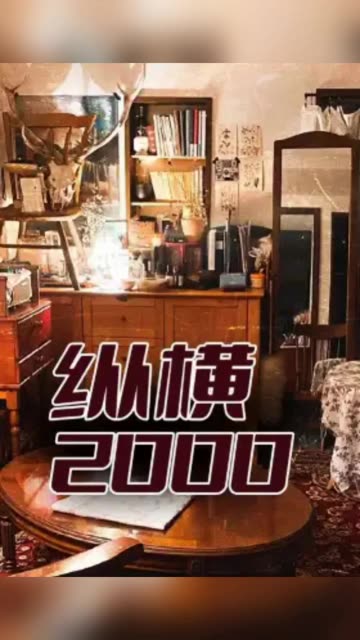 纵横2000封面图