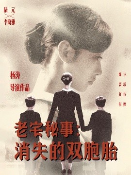老宅秘事：消失的双生