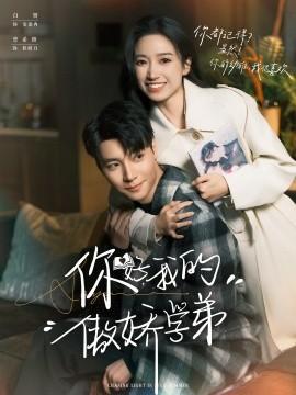 你好，我的傲娇学弟封面图