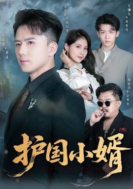 护国小婿