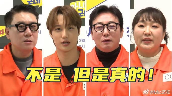 不是但是真的 - 日韩综艺 2026