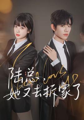 陆总,她又去拆家了 - 现代都市 2026