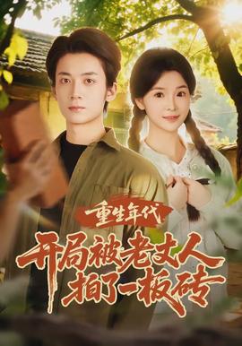 重生年代开局被老丈人拍了一板砖 - 年代穿越 2026