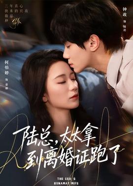 陆总，太太拿到离婚证跑了 - 女频恋爱 2026