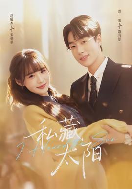 私藏太阳 - 现代都市 2026