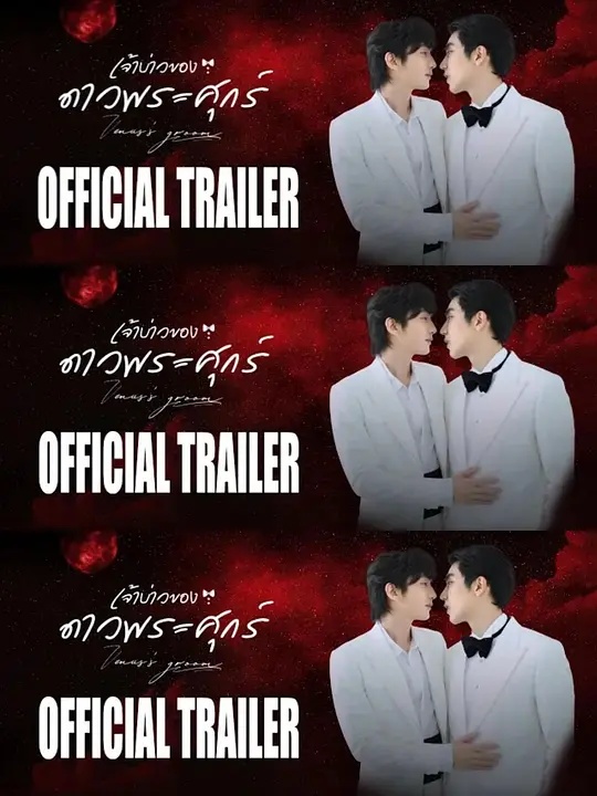 维纳斯的新郎 - 泰剧 (2026)