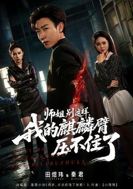 师姐别这样，我的麒麟臂压不住了 - 现代都市 2026