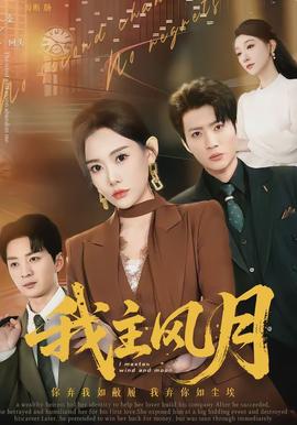 我主风月封面图