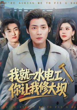 我就一水电工，你让我修大坝 - 现代都市 (2026) 海报