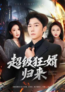 超级狂婿归来封面图