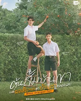 当橘子掉落时封面图