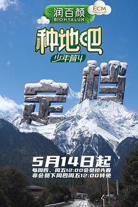 名侦探柯南：绀青之拳原版