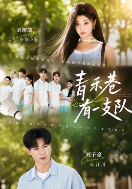 青禾巷有一支队封面图